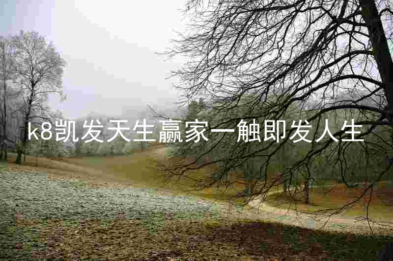 k8凯发天生赢家一触即发人生