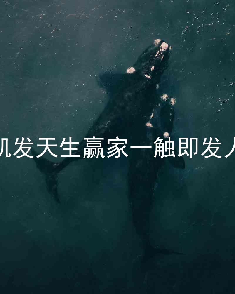 k8凯发天生赢家一触即发人生